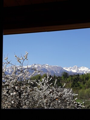 Mountain view - Penzion Repnik (Kamnik)