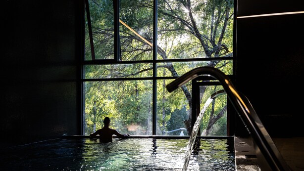 A person in a swimming pool with a view of trees through large windows. - Aqua Village Health Resort & Spa (Oliveira do Hospital)