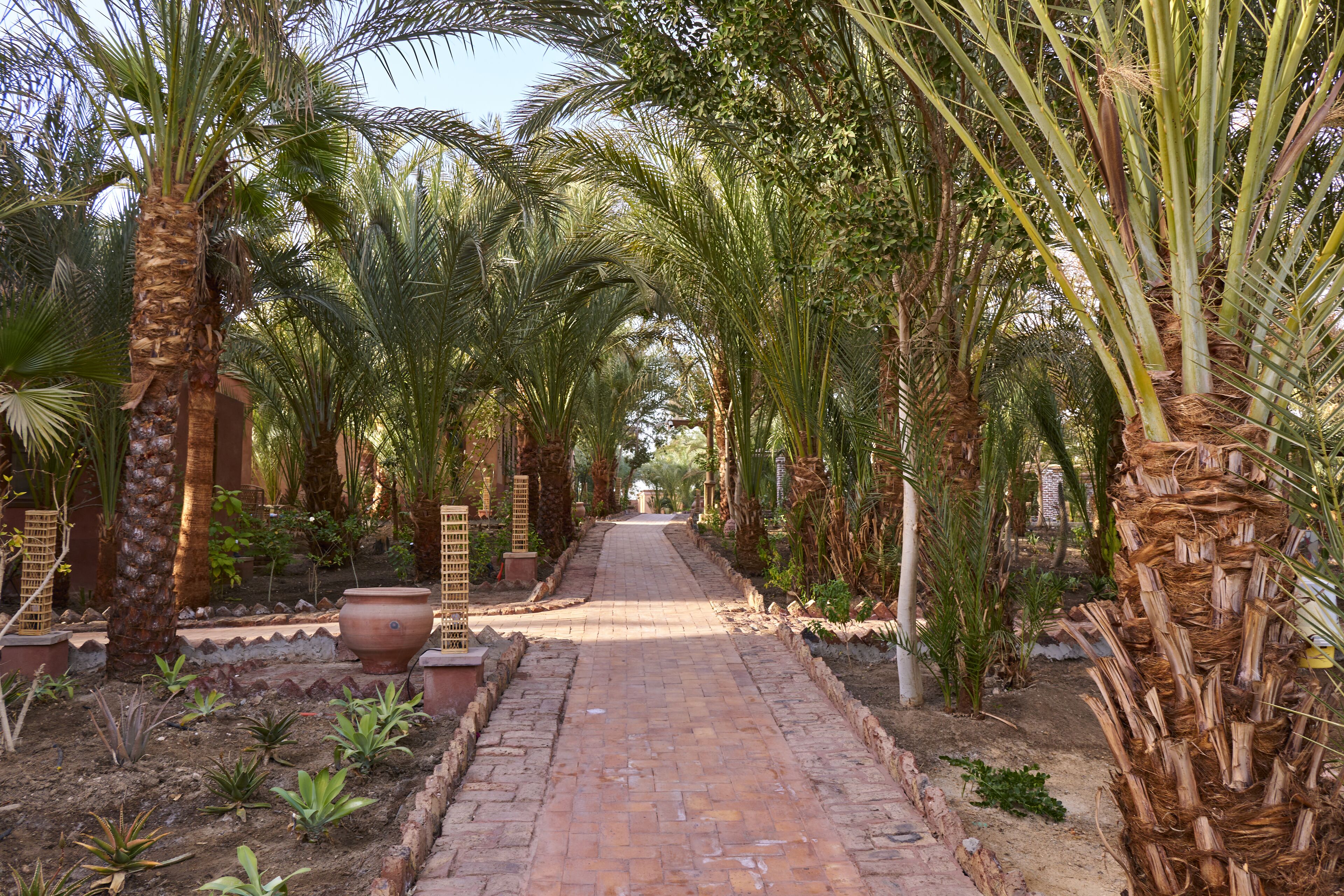 Photo - Al Moudira Hotel