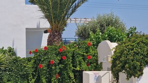 Un patio con una palmera, flores rojas y un restaurante bar junto a la piscina.