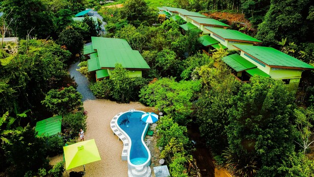 Vista aérea de un resort con varios edificios de techos verdes, rodeado de abundante vegetación, un camino serpenteante y una piscina de forma peculiar con una sombrilla azul y blanca.