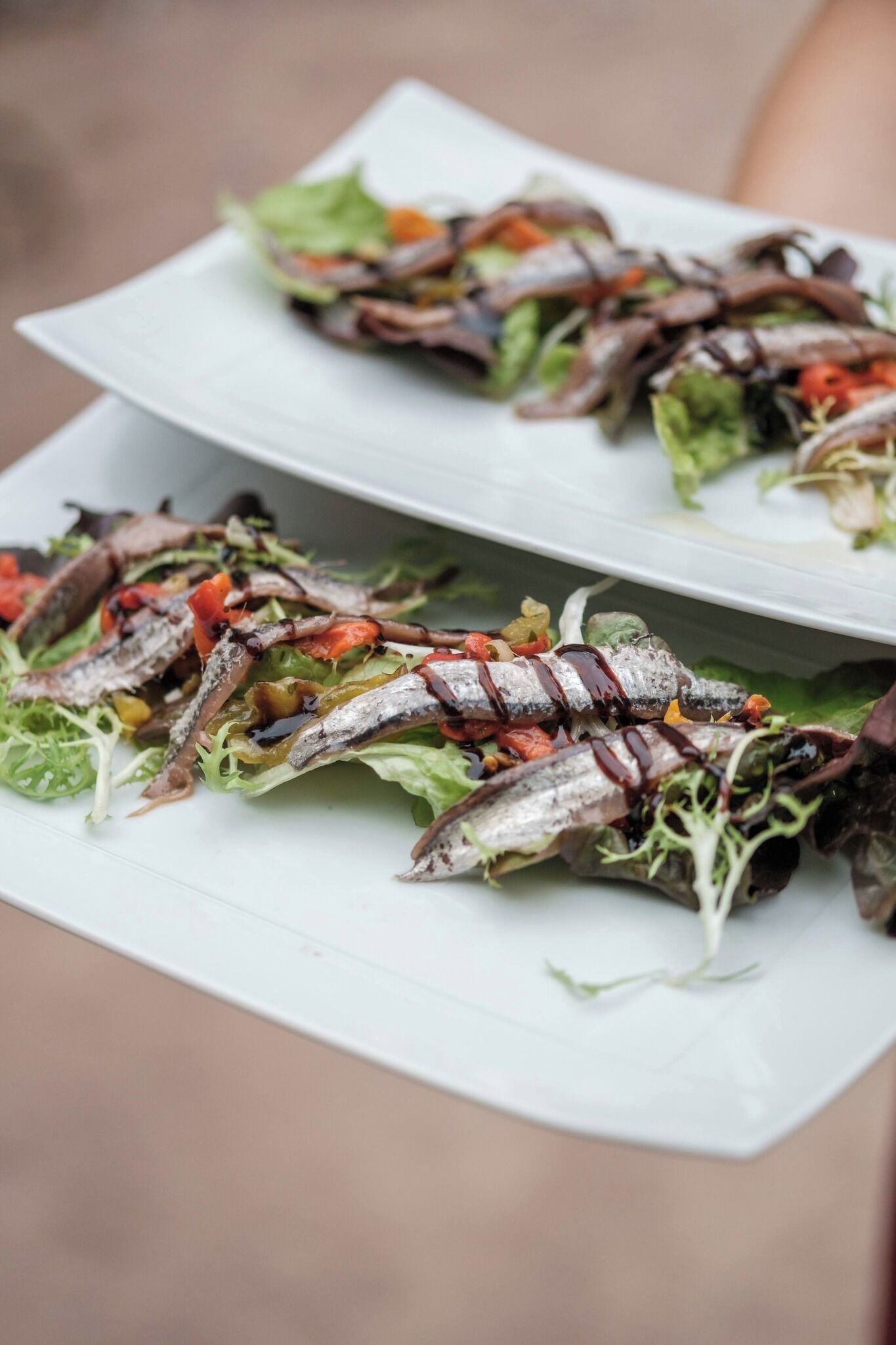 A white rectangular plate with a salad containing fish, greens, and red peppers.