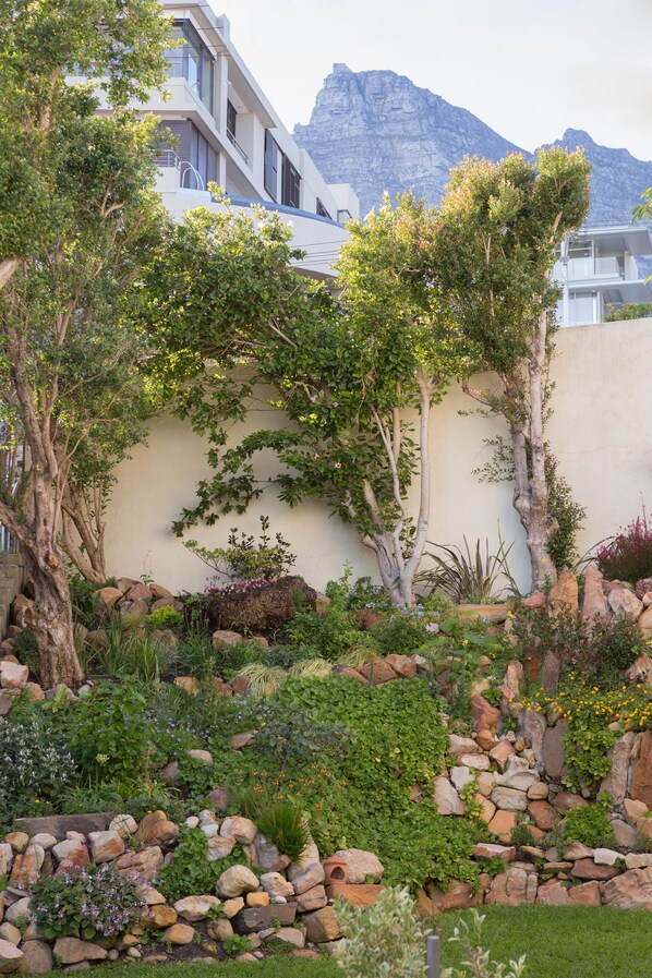 Garden - Caprice Camps Bay (Cape Town)