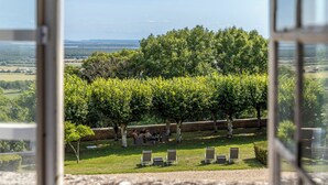 A vineyard with rows of grapevines and a seating area with chairs and tables.