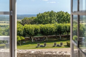 A vineyard with rows of grapevines and a seating area with chairs and tables.