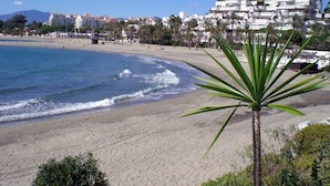 Una playa con una palmera al frente, una orilla arenosa y edificios en el fondo.