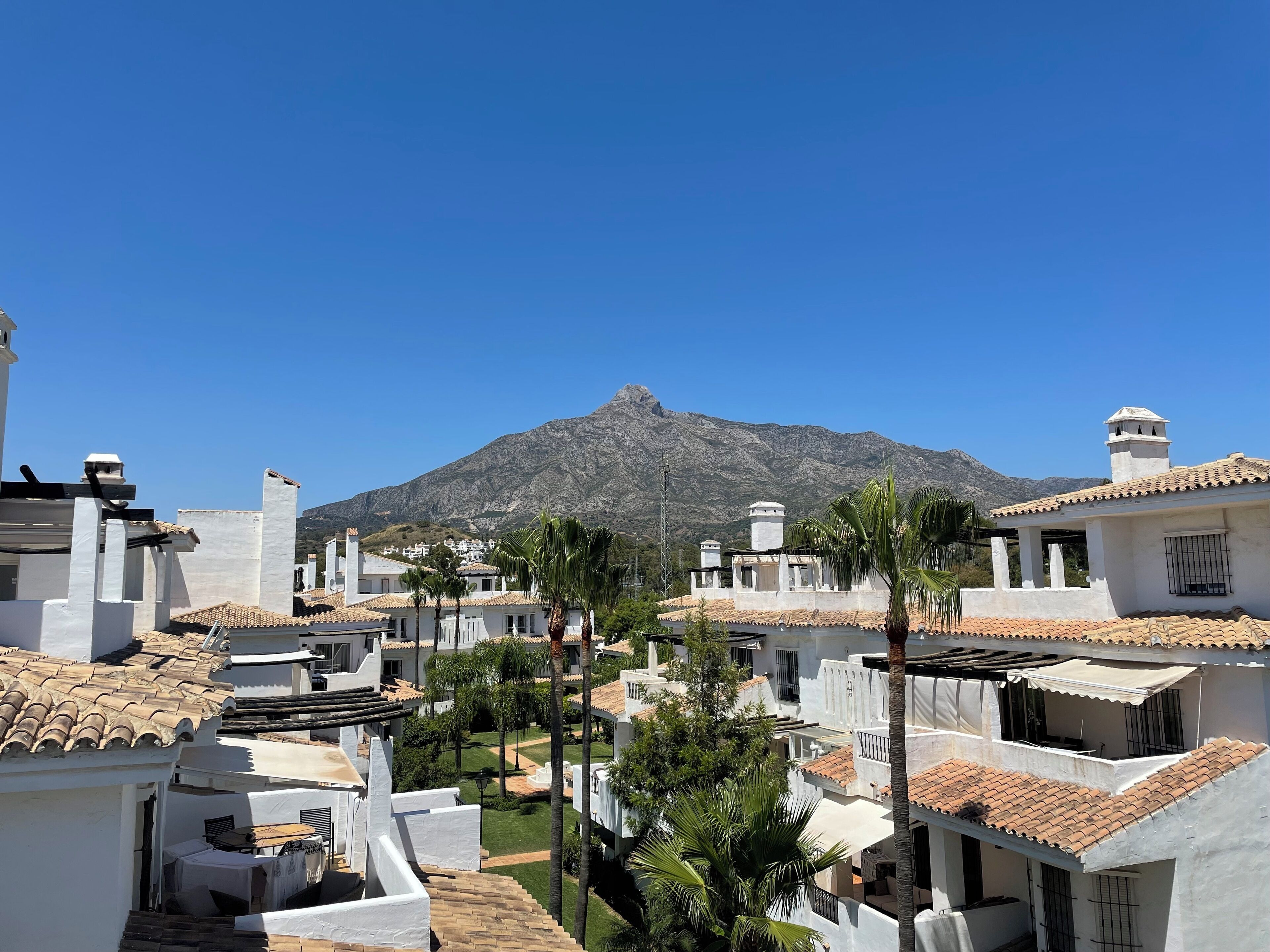 Un quartier résidentiel avec des bâtiments blancs, des palmiers et une montagne en arrière-plan.