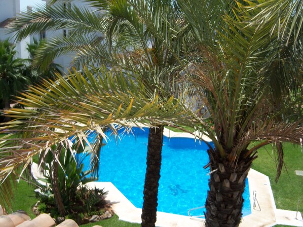 Una piscina al aire libre de temporada, sombrillas, tumbonas