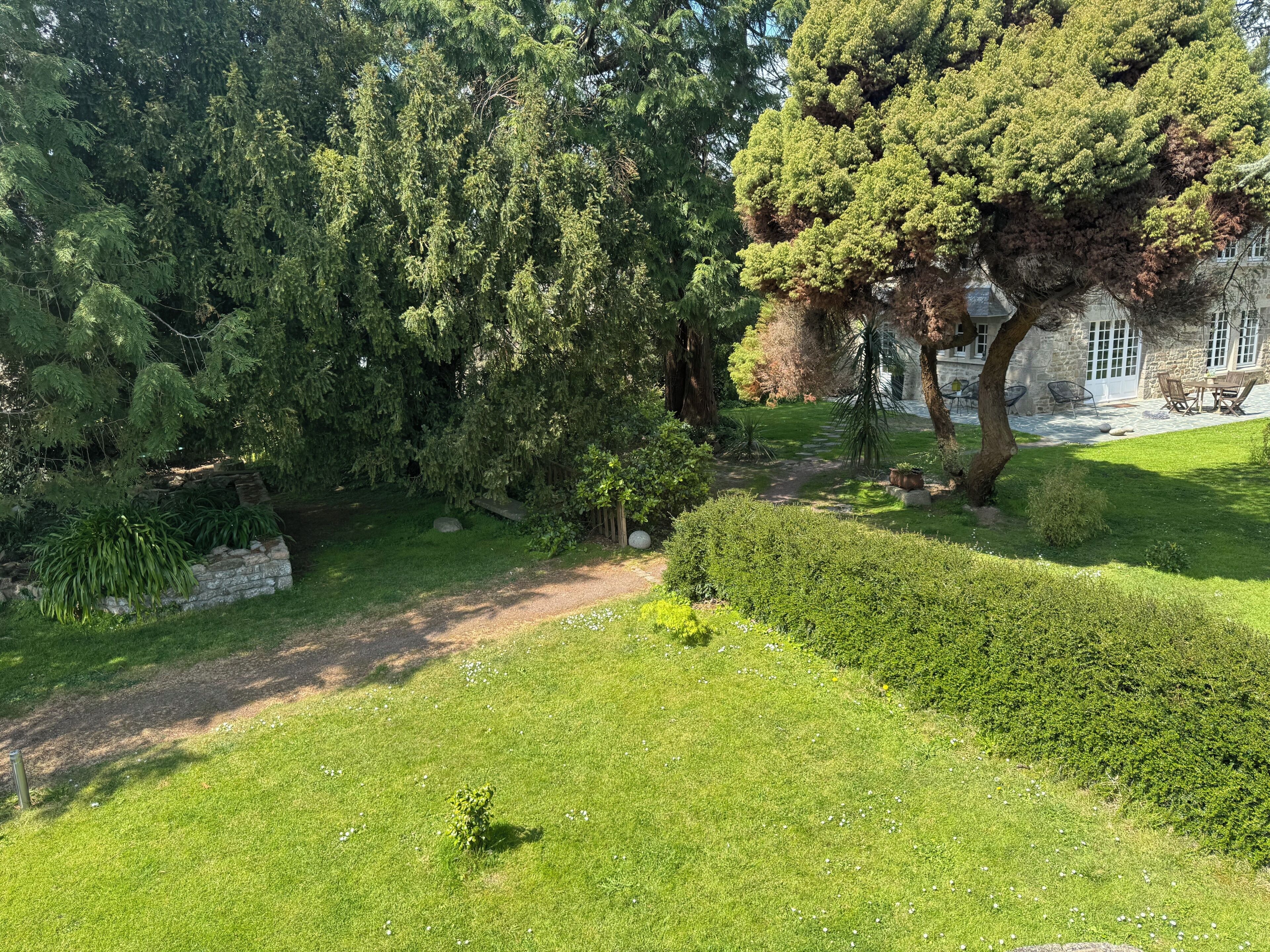 A well-maintained garden with a stone wall, a variety of trees, and a clear pathway.