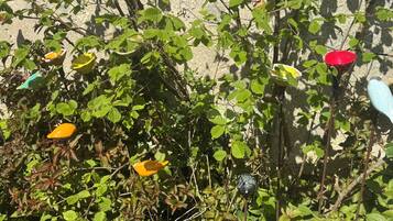 Un jardín con diversas plantas y coloridos comederos para pájaros.