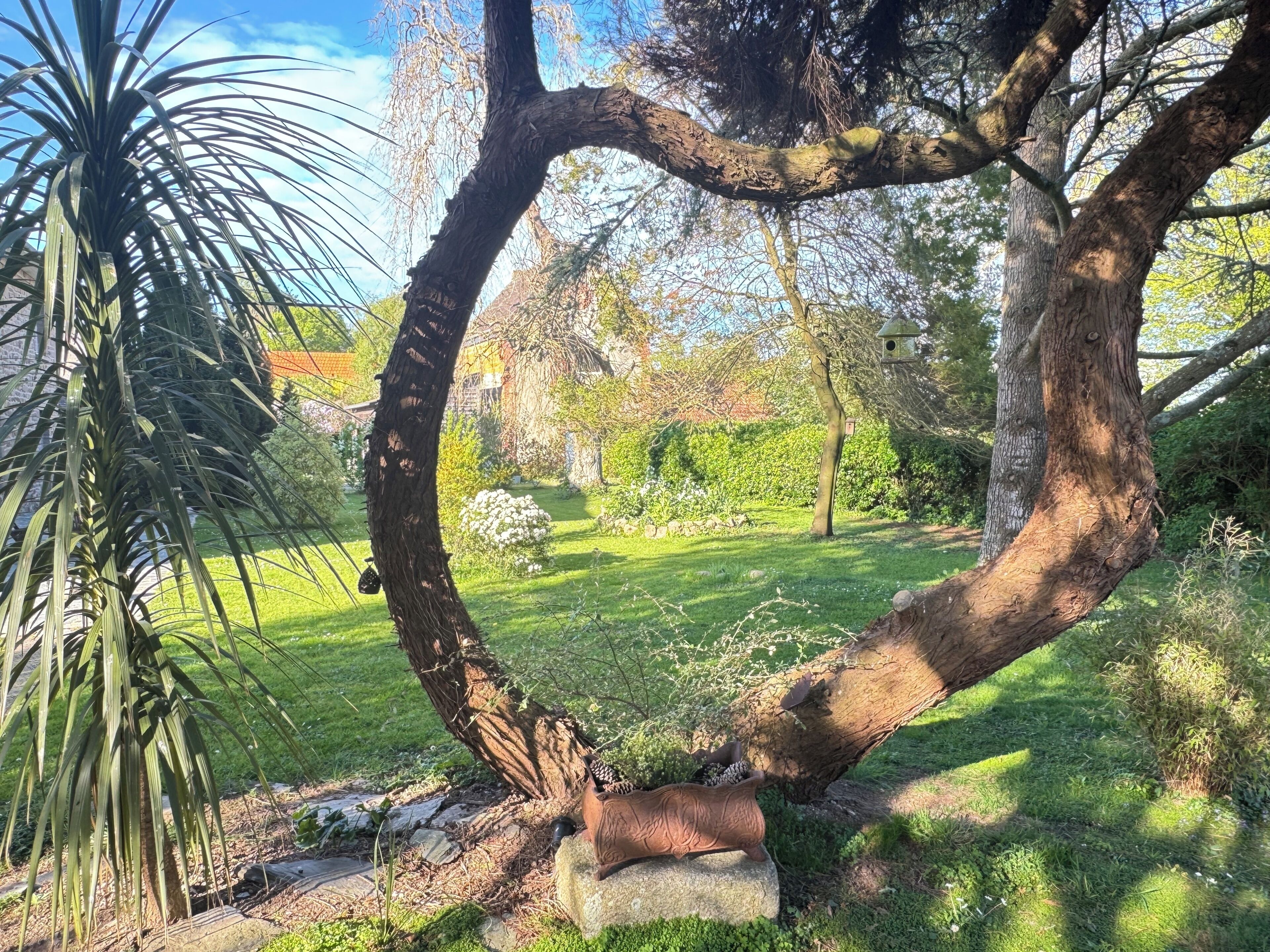 Un árbol de tronco curvado, un comedero para pájaros y un banco de piedra en un jardín.