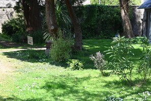 Taman