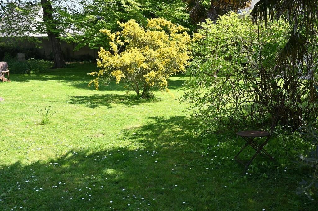 A grassy outdoor area with a small tree and a chair.