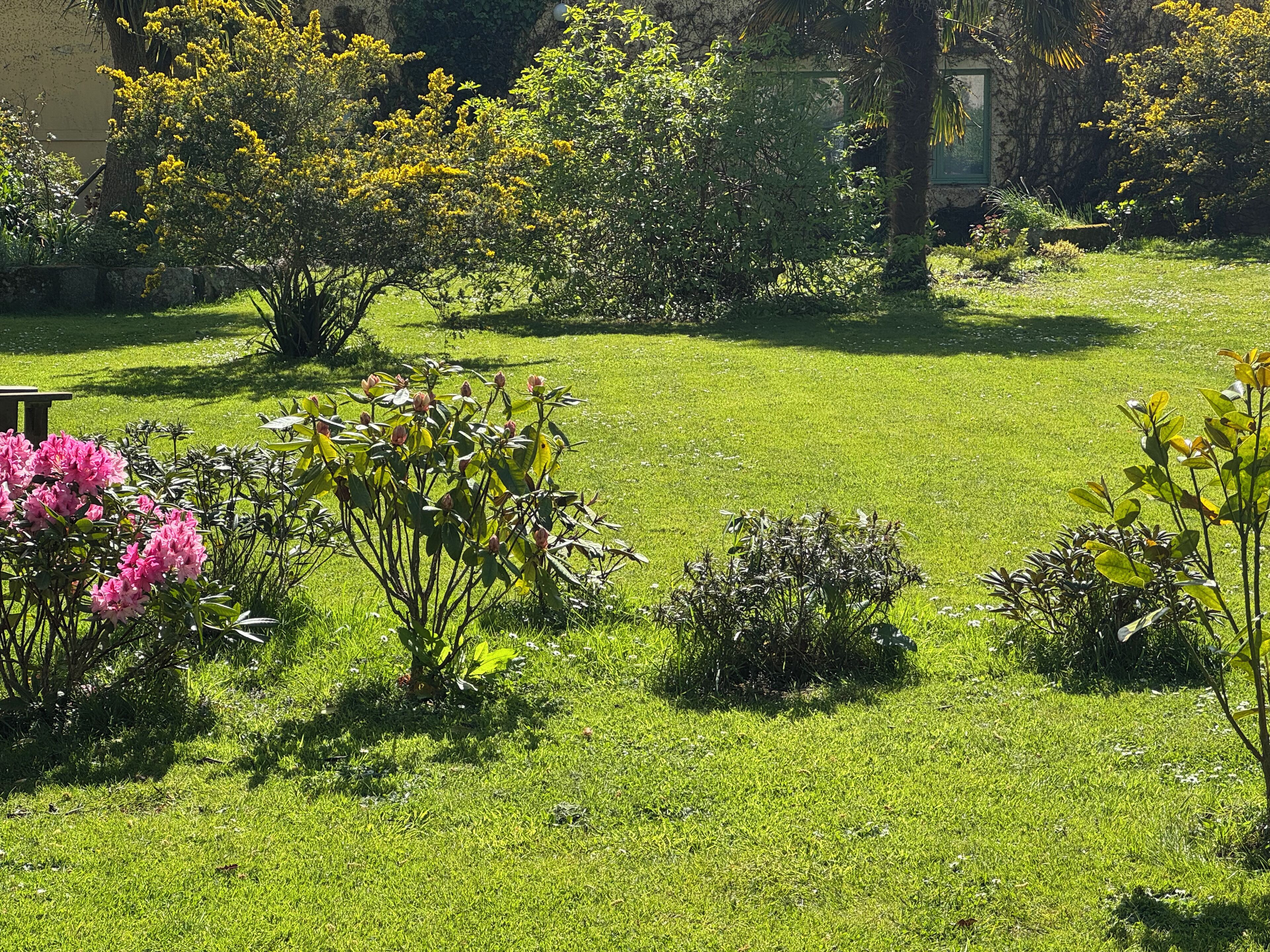 Un giardino curato con diverse piante in fiore e un prato verde.