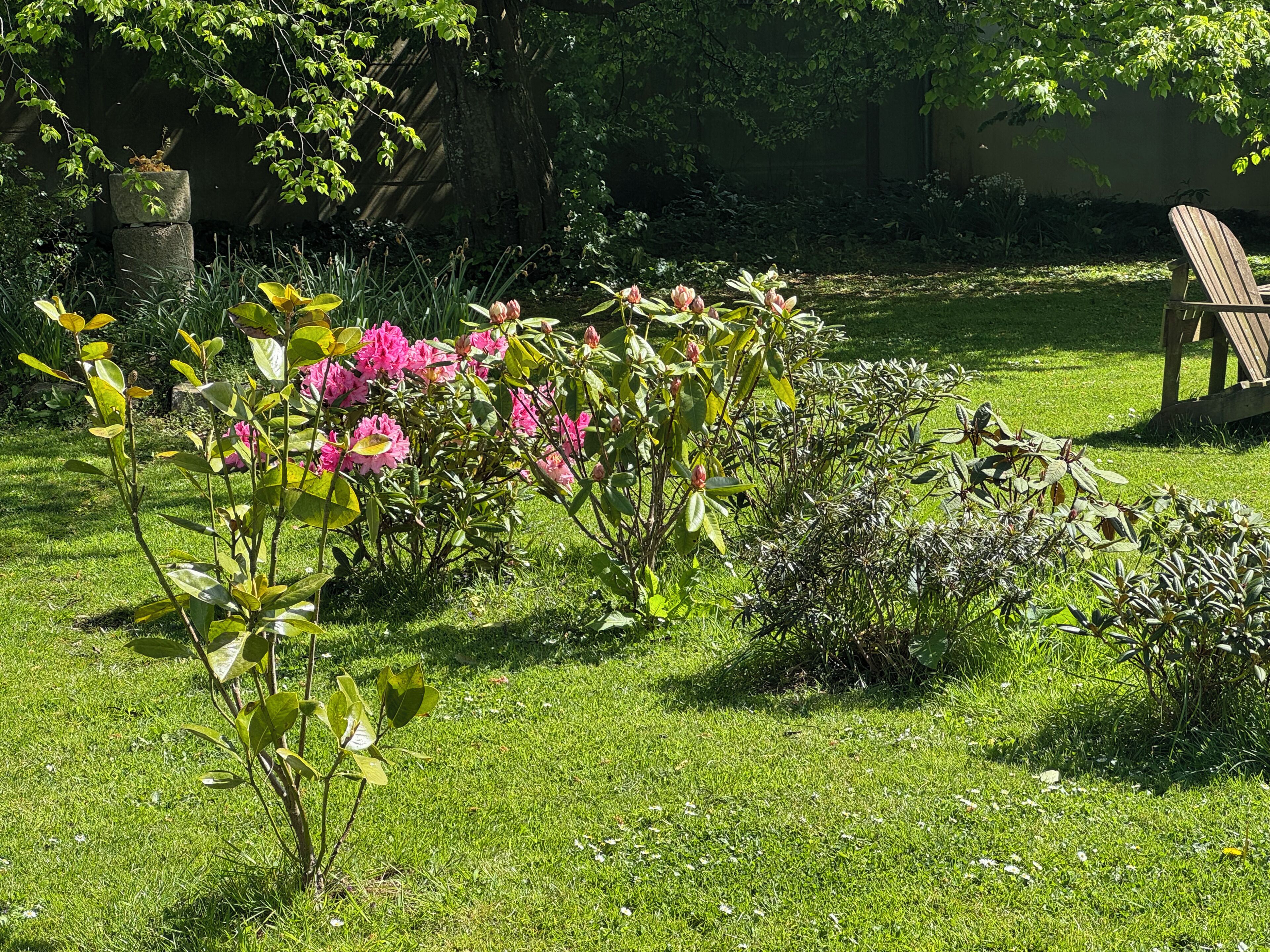Een tuin met verschillende planten en een houten stoel.