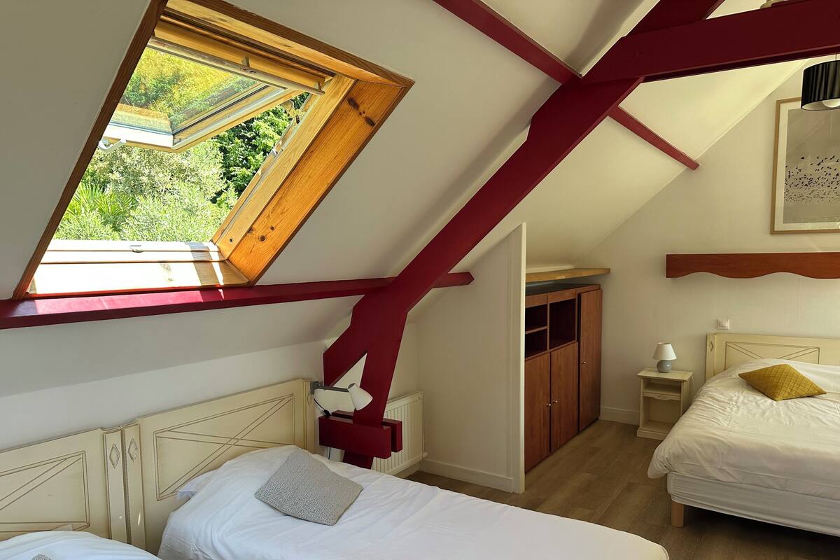 Comfort Quadruple Room