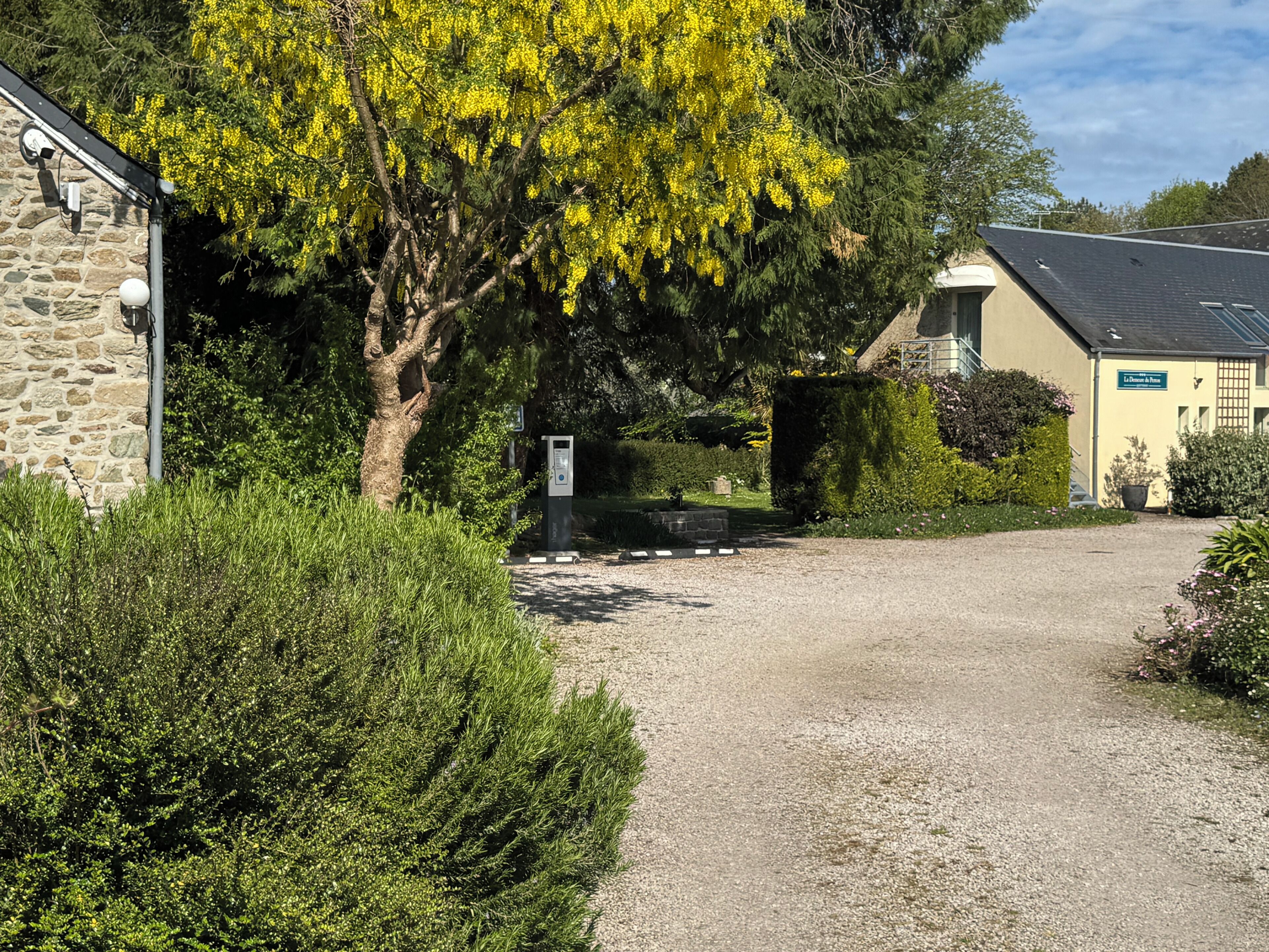 A gravel driveway leading to a building with a stone wall and a tree with yellow flowers.