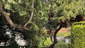 A garden pathway leading to a building with a brick facade, surrounded by mature trees and well-maintained hedges. - La Demeure Du Perron (Quettehou)