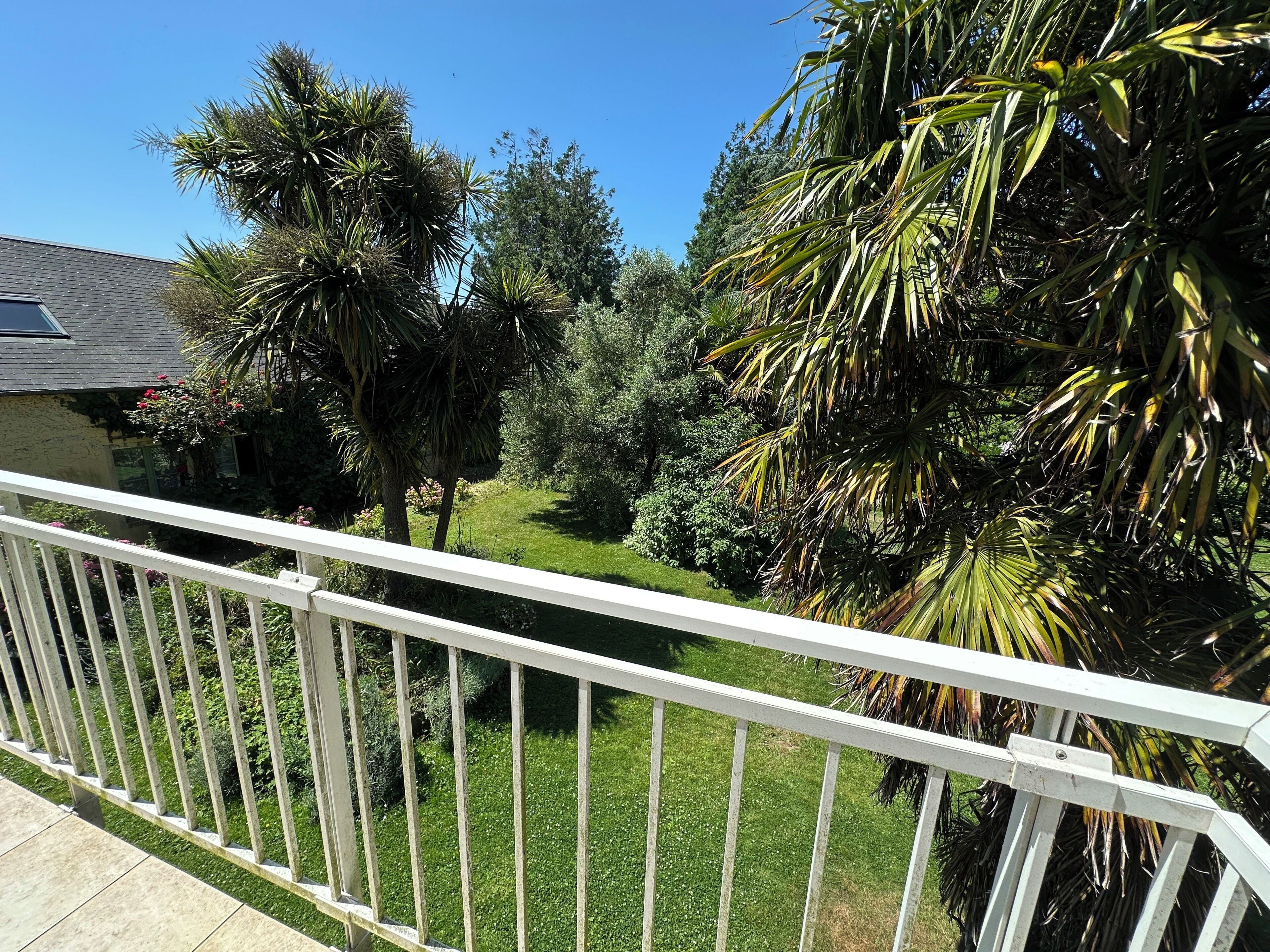 A balcony with a white railing overlooking a garden with palm trees and a lawn.