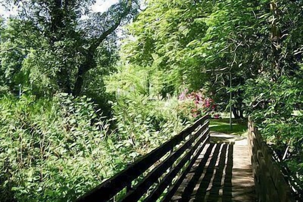 Tuin