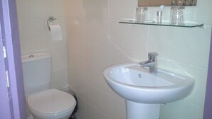 Une petite salle de bain comprenant des toilettes, un lavabo et une étagère en verre au-dessus du lavabo.