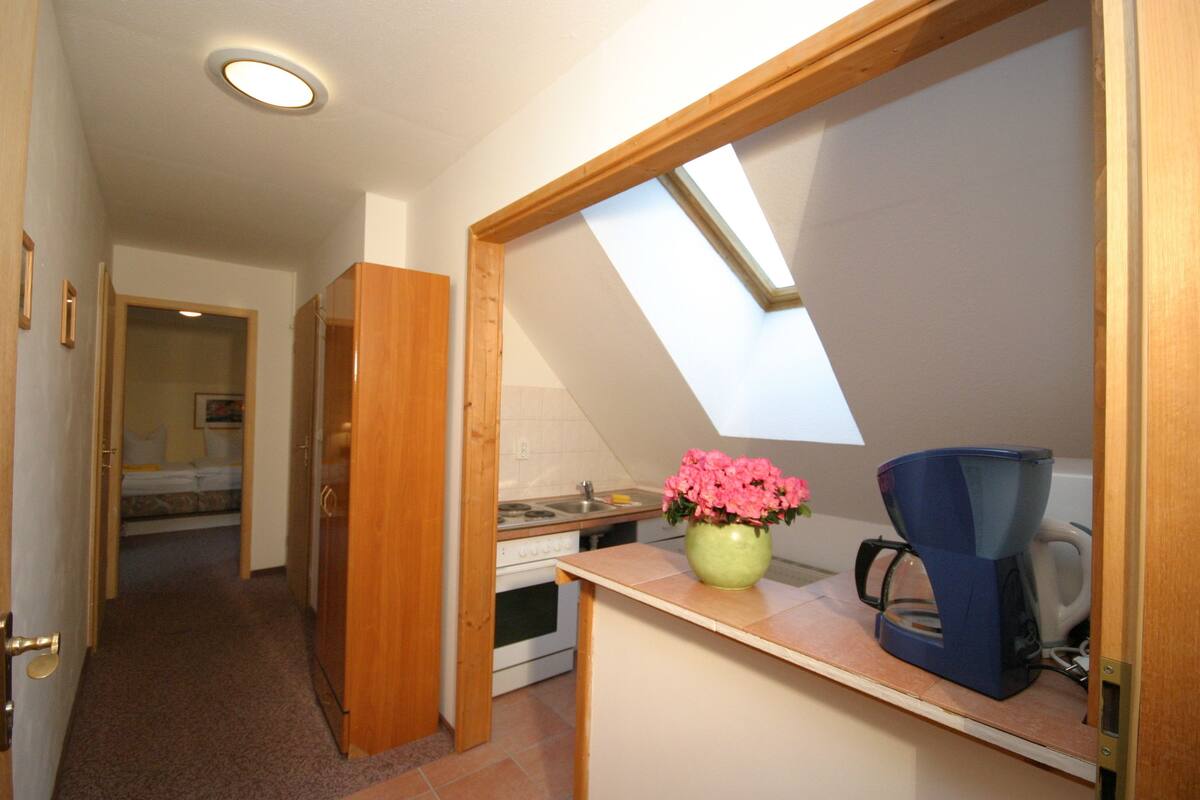 apartment | private kitchen | fridge, electric kettle