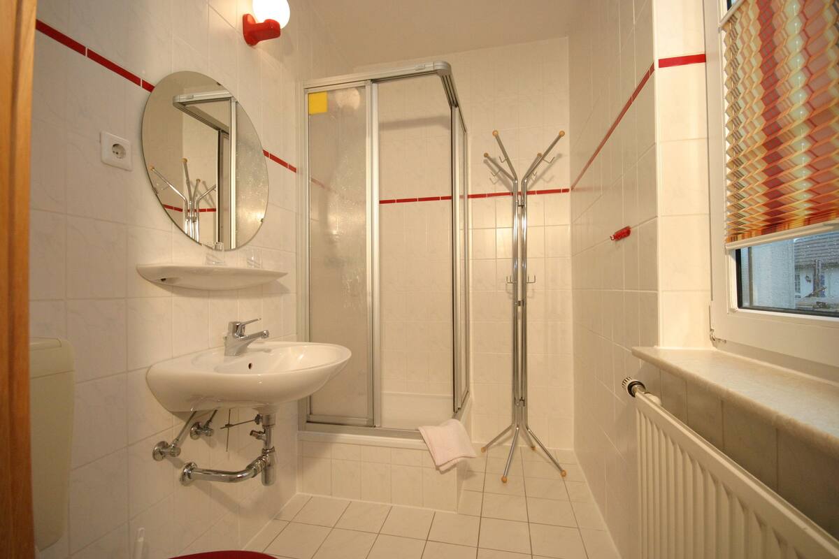 shower, free toiletries, hair dryer, towels