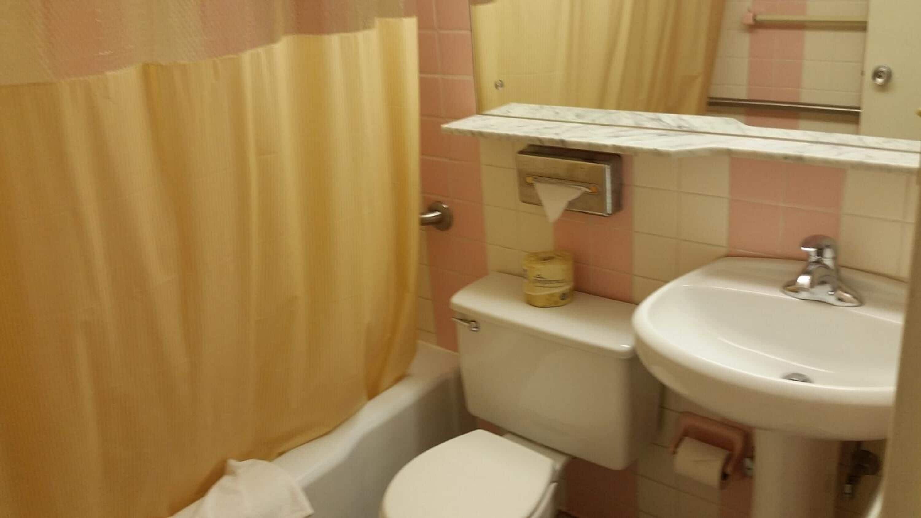 A small bathroom with a toilet, sink, and shower curtain.