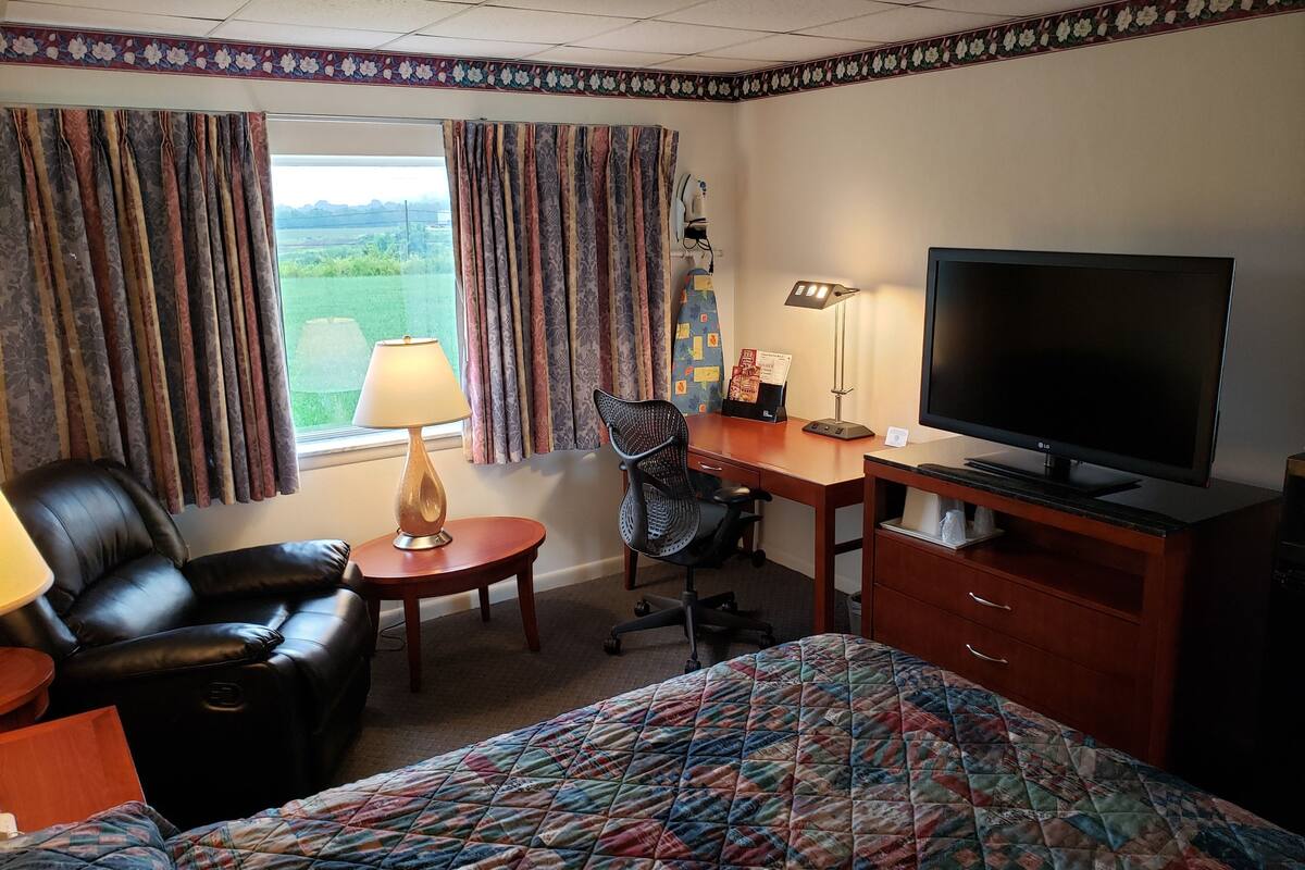 Business Room, 1 King Bed | Desk, laptop workspace, iron/ironing board, WiFi (free)