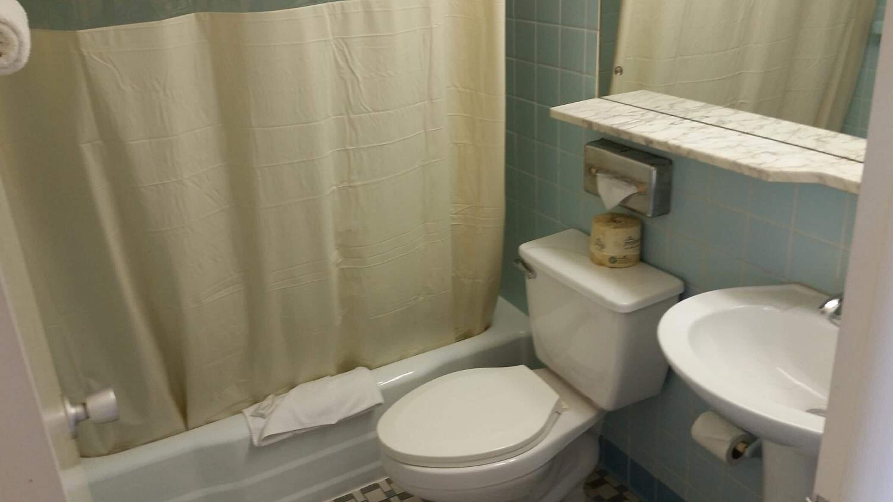 A bathroom with a toilet, sink, and shower curtain.