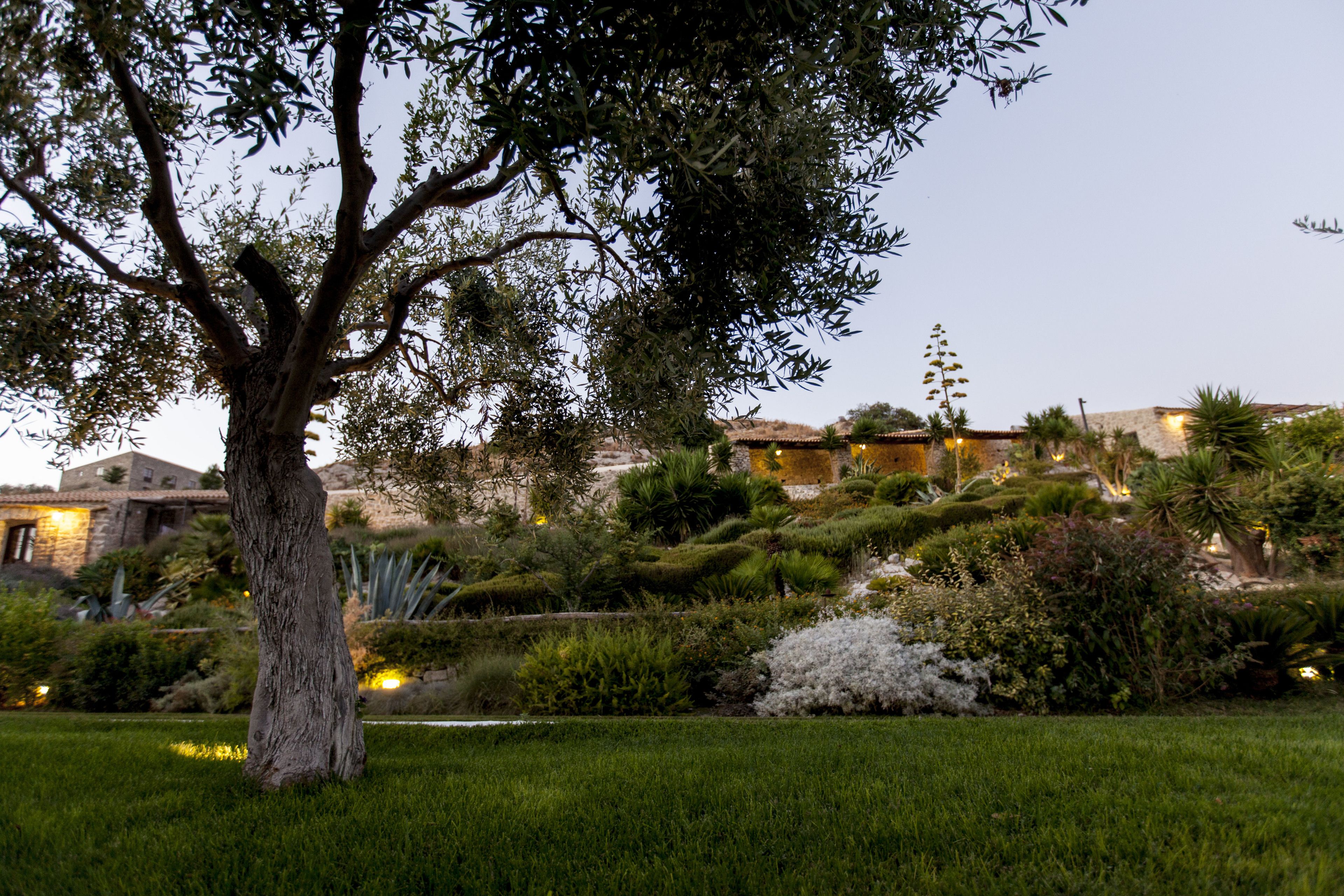 A landscaped garden with a large tree, well-maintained grass, and a variety of shrubs and plants.