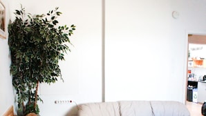 Una sala de estar con un sofá beige, un sofá marrón y una planta grande de color verde.