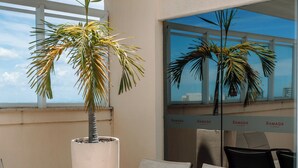 Un área de estar interior iluminada por el sol, con una gran palmera en maceta, sillas con cojines y vistas al cielo a través de una ventana.