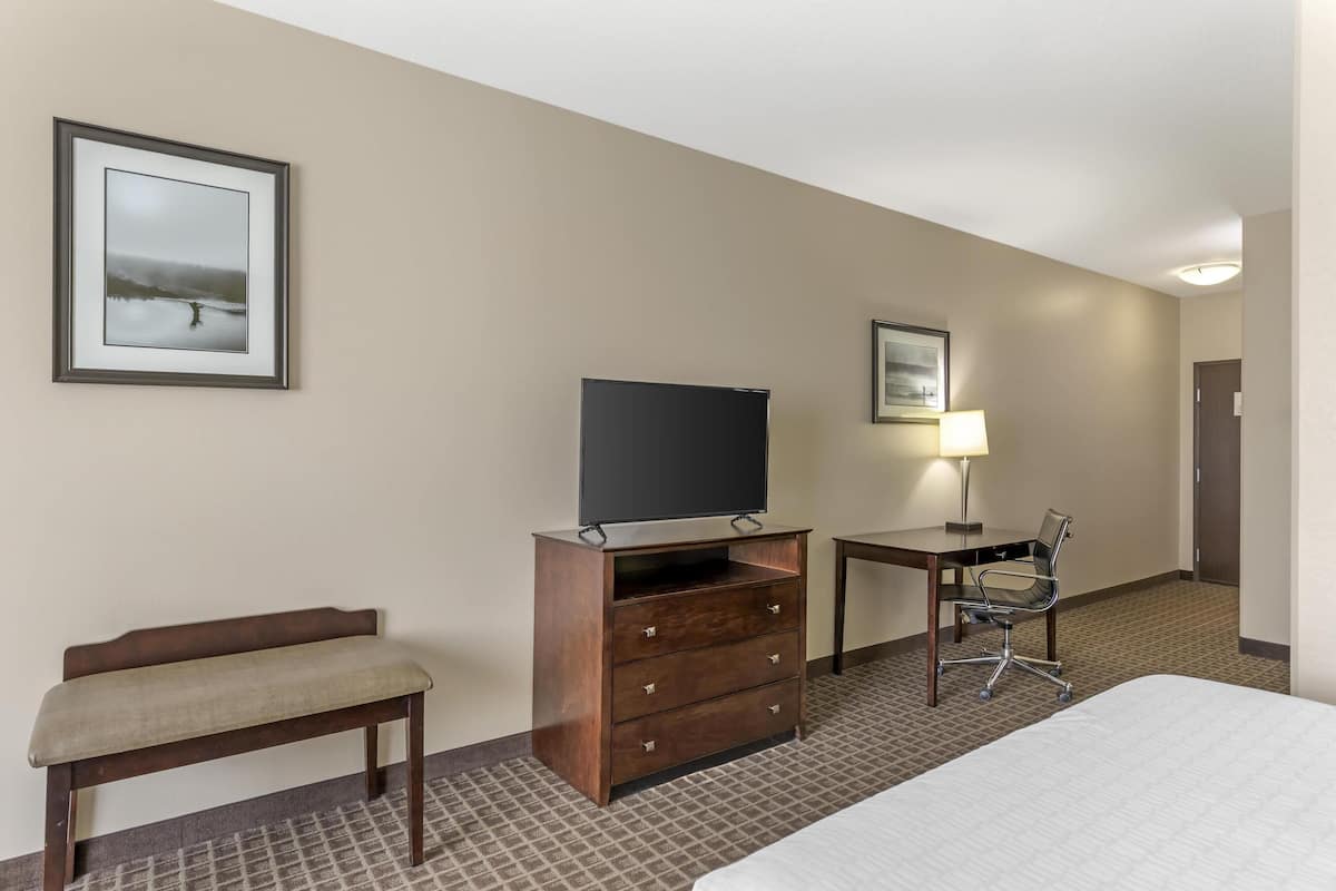 Una habitación de hotel con una cama, un televisor sobre un mueble de madera, un escritorio con una silla y una lámpara.