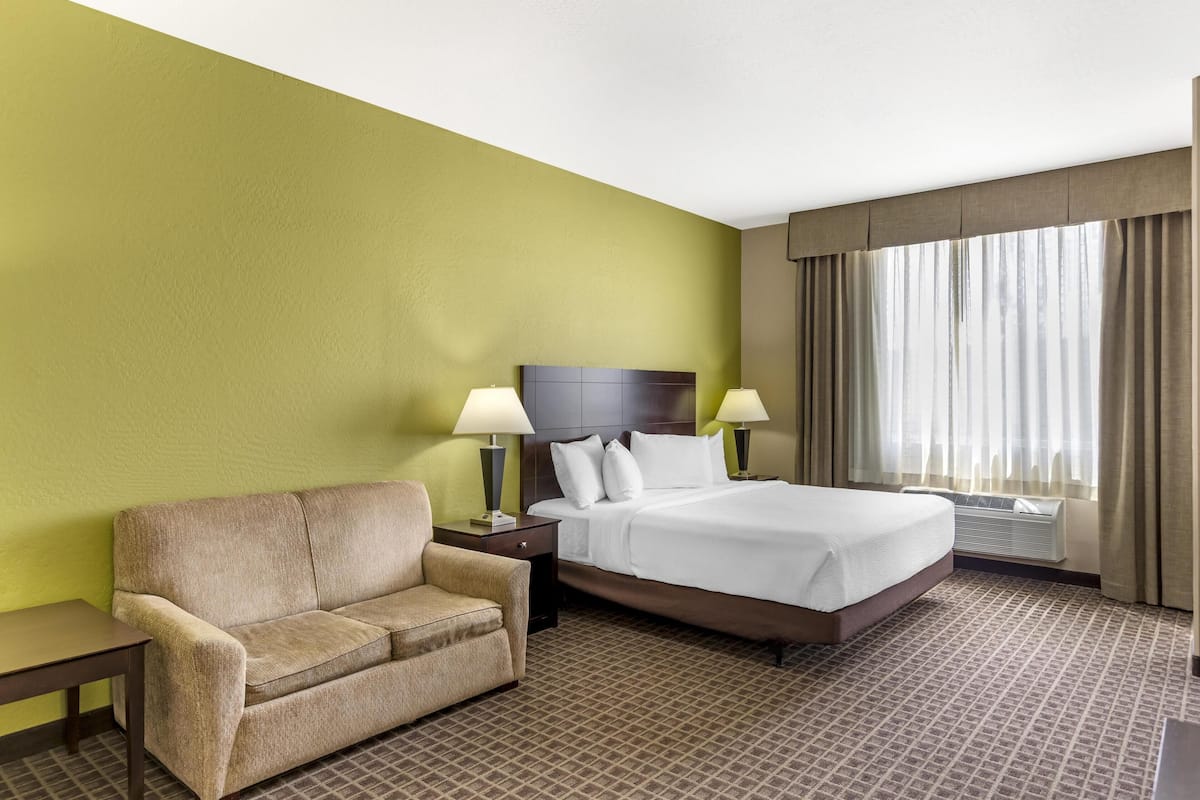 Una habitación de hotel con cama, sofá, dos mesitas de noche con lámparas, un ventanal con cortinas y una alfombra estampada.