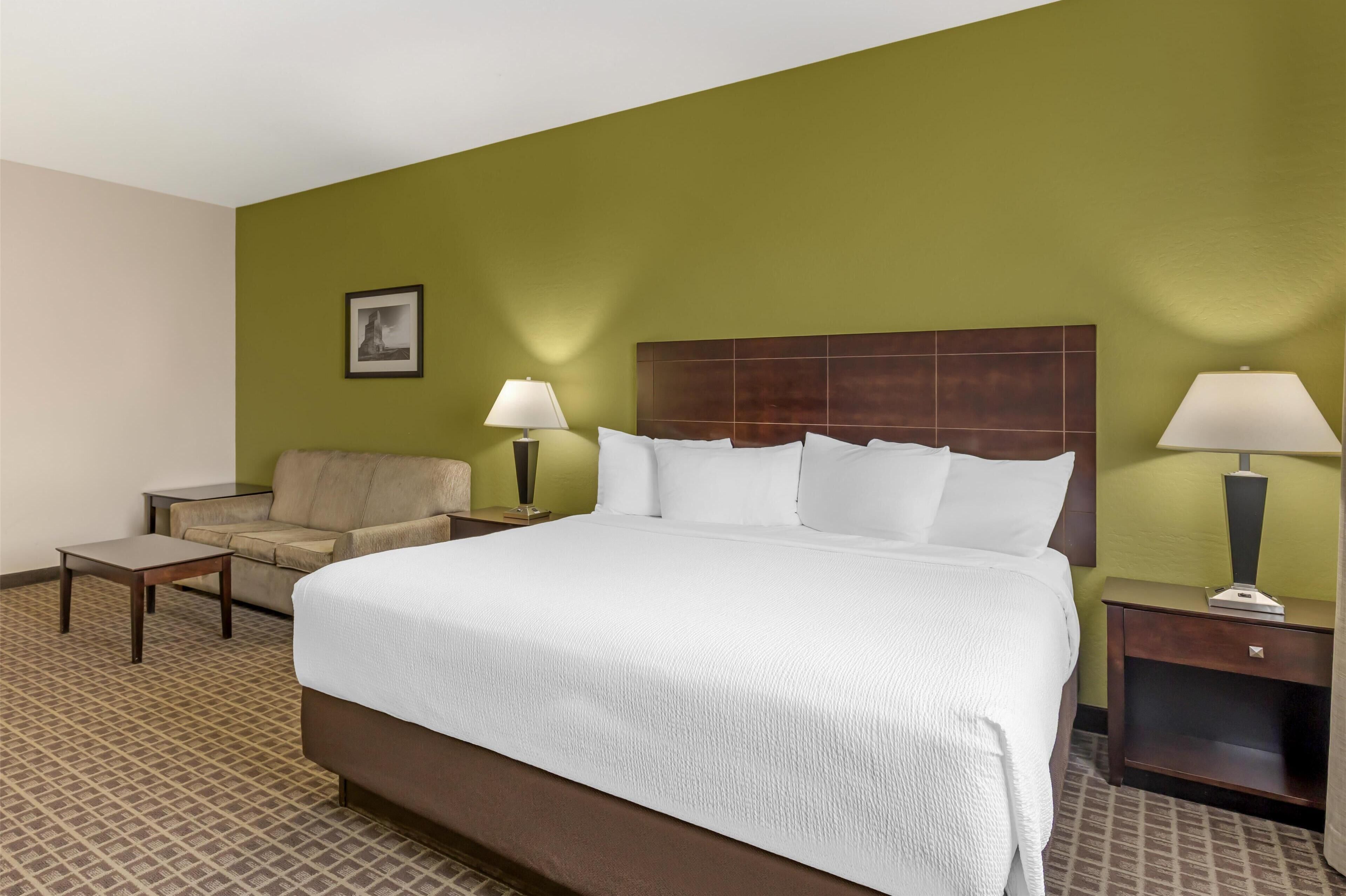Standard Room, 1 King Bed, Non Smoking, Refrigerator & Microwave (with Sofabed) | Pillowtop beds, blackout drapes, iron/ironing board, WiFi (free)