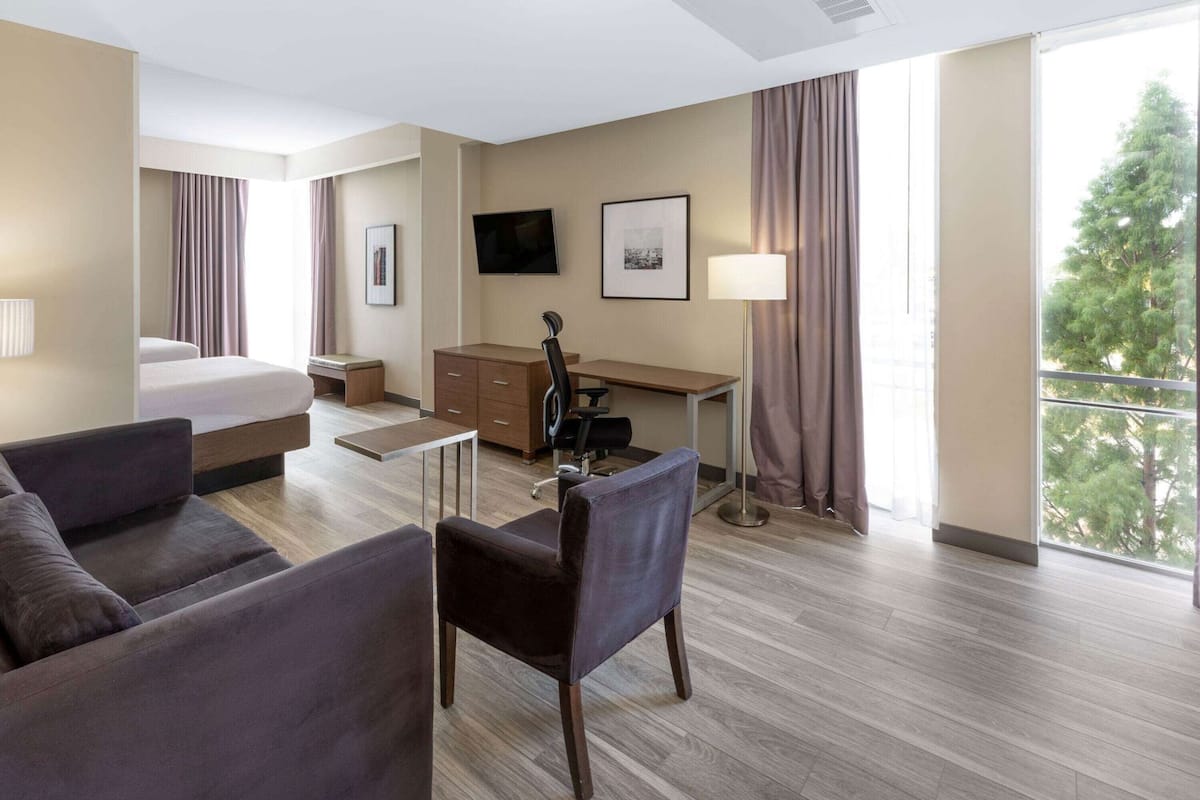 A hotel room with a bed, a desk, a chair, a sofa, a TV, and a window with a view of trees.