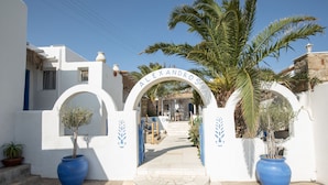 A white building with a sign reading "ALEXANDROS" and a palm tree in the foreground. - Alexandros Mykonos (Mykonos)