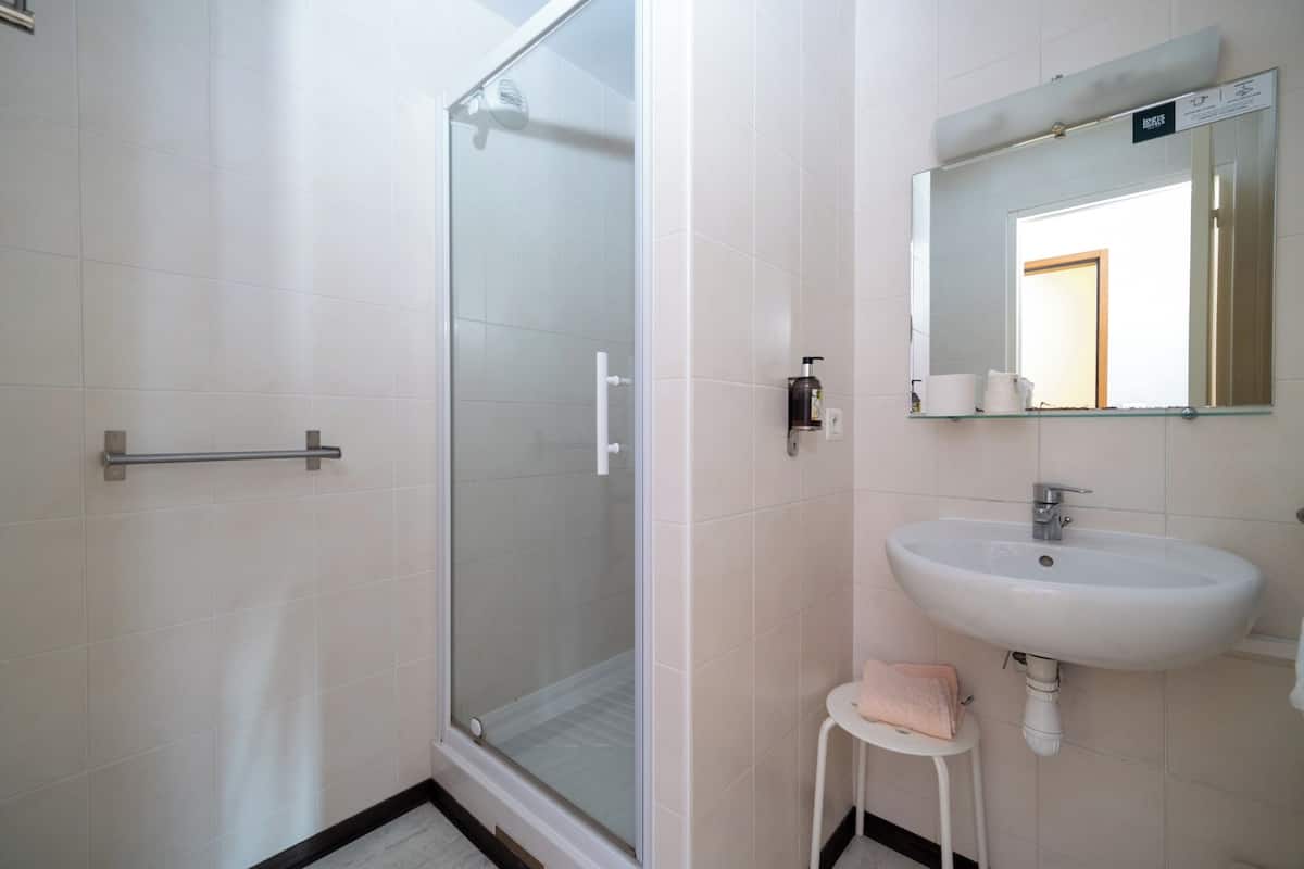 shower, free toiletries, hair dryer, towels