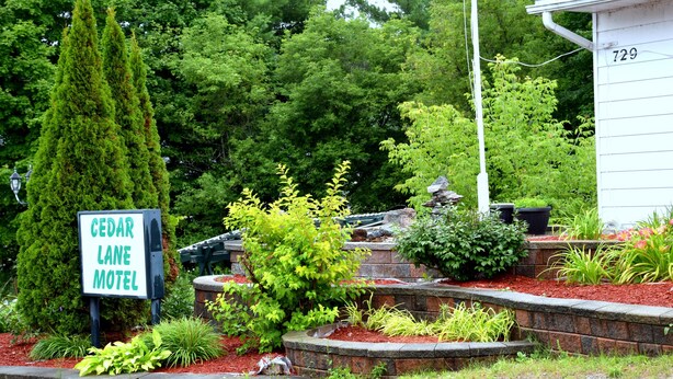 Une enseigne indiquant le « Cedar Lane Motel », entourée d’une végétation luxuriante et d’un jardin aménagé.