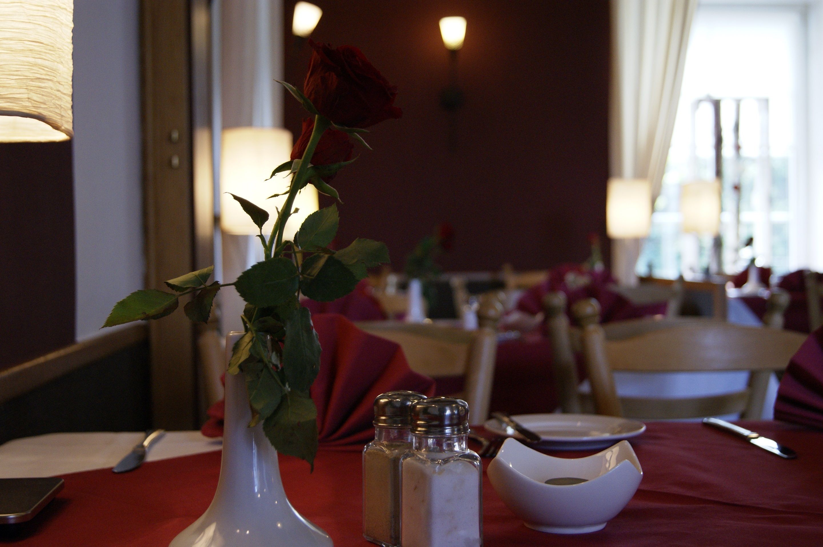 2 restaurants, breakfast, lunch, dinner served; german cuisine