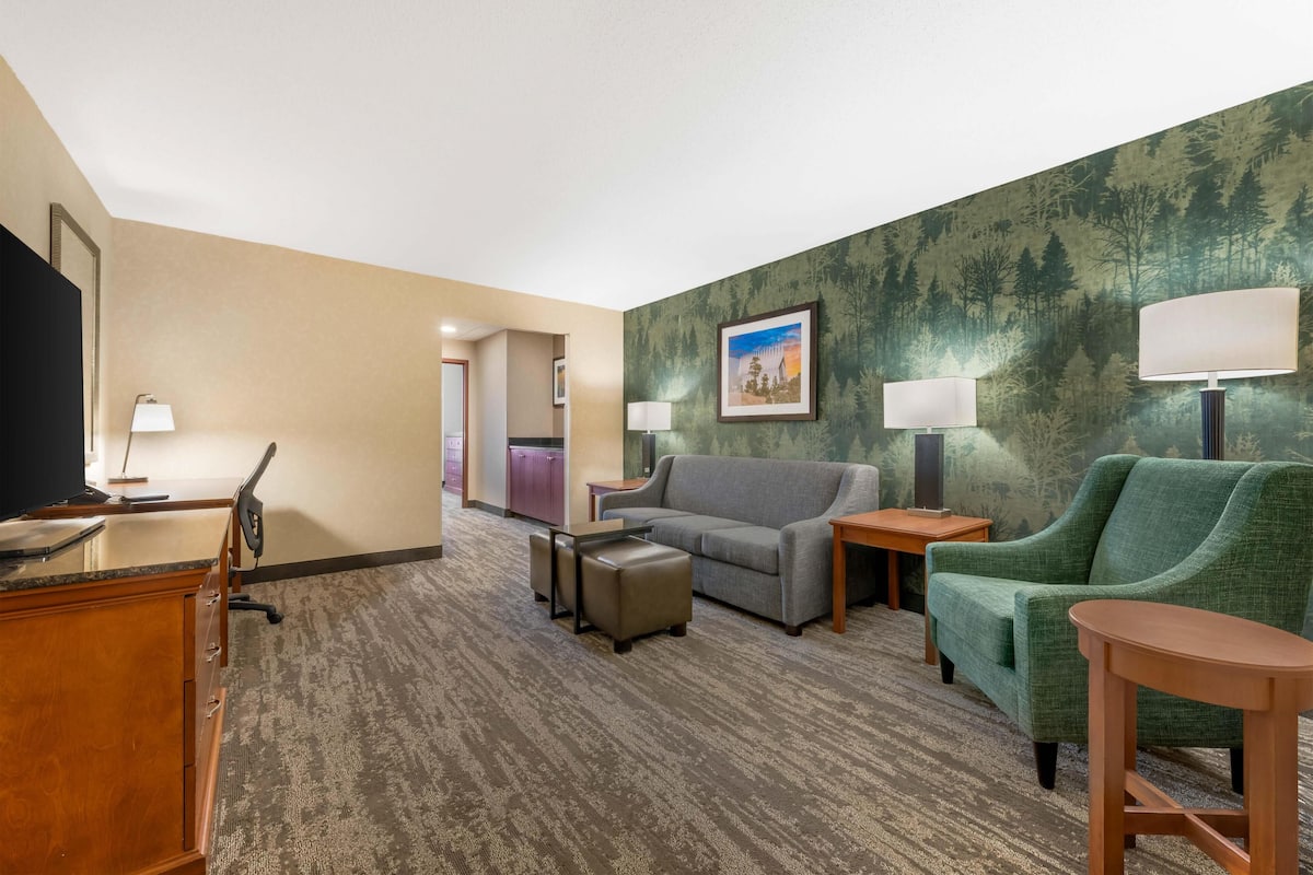 Une chambre d’hôtel avec un canapé gris, un fauteuil vert, un bureau en bois avec une télévision, une petite table avec une lampe et un sol recouvert d’une moquette.