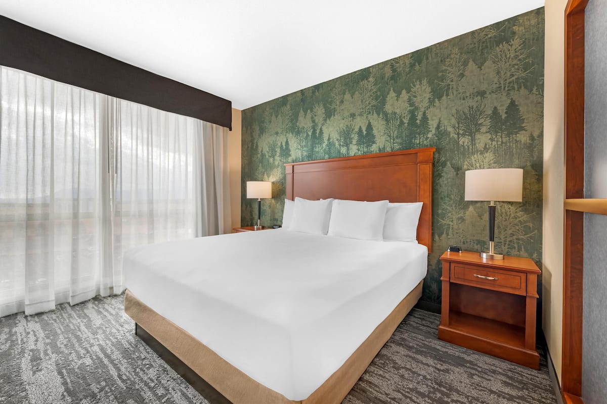 Une chambre d’hôtel avec un grand lit, deux tables de chevet, une fenêtre avec des rideaux légers et un mur décoré sur le thème d’une forêt verdoyante.