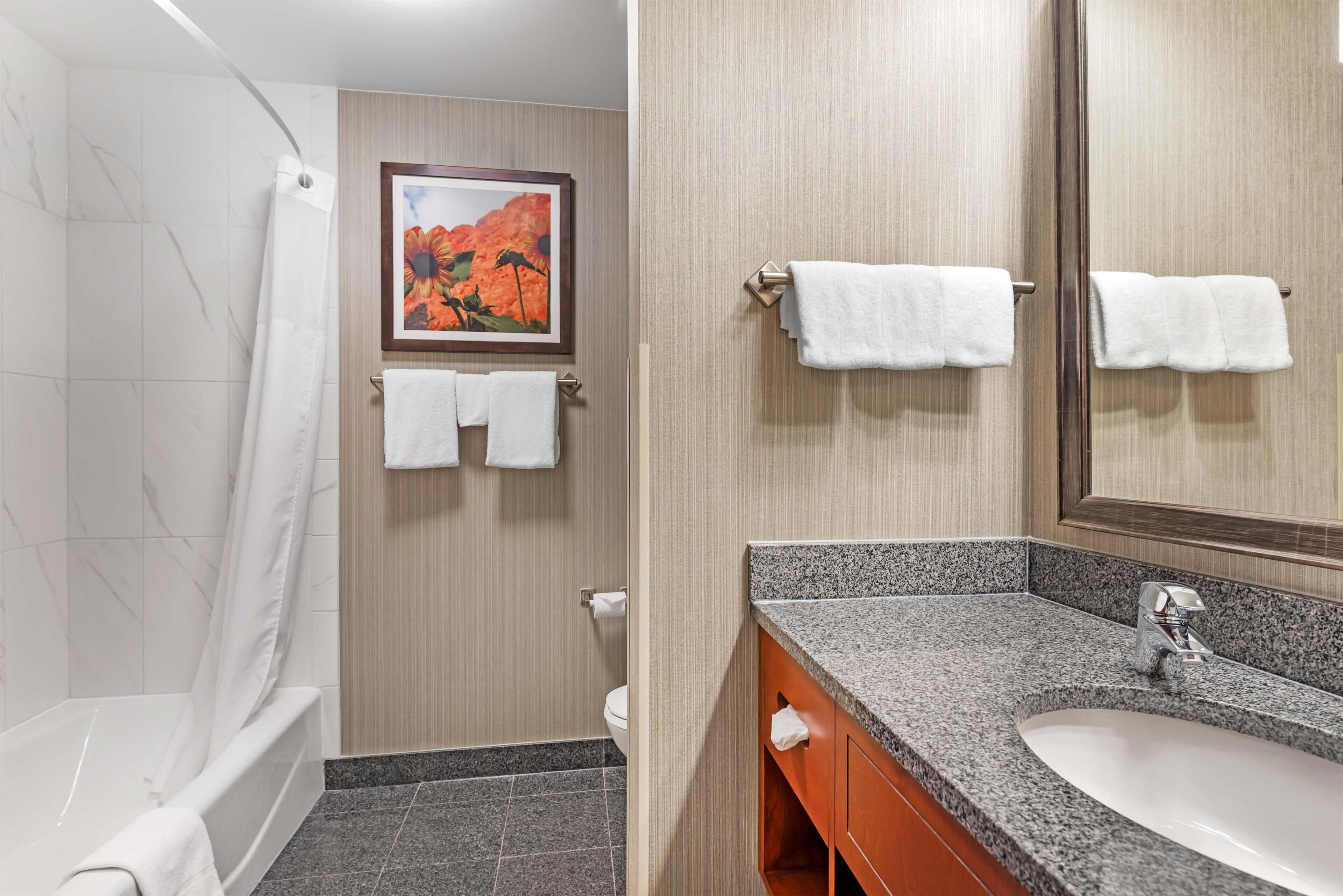 Hair dryer, towels