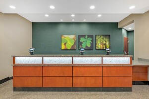 Un mostrador de recepción con una pared verde, tres láminas botánicas enmarcadas y una encimera con diseño estampado.