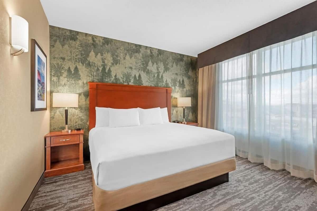 Une chambre d’hôtel avec un grand lit, deux tables de chevet, une petite table, un mur orné d’une fresque représentant une forêt et une grande fenêtre avec des rideaux légers.