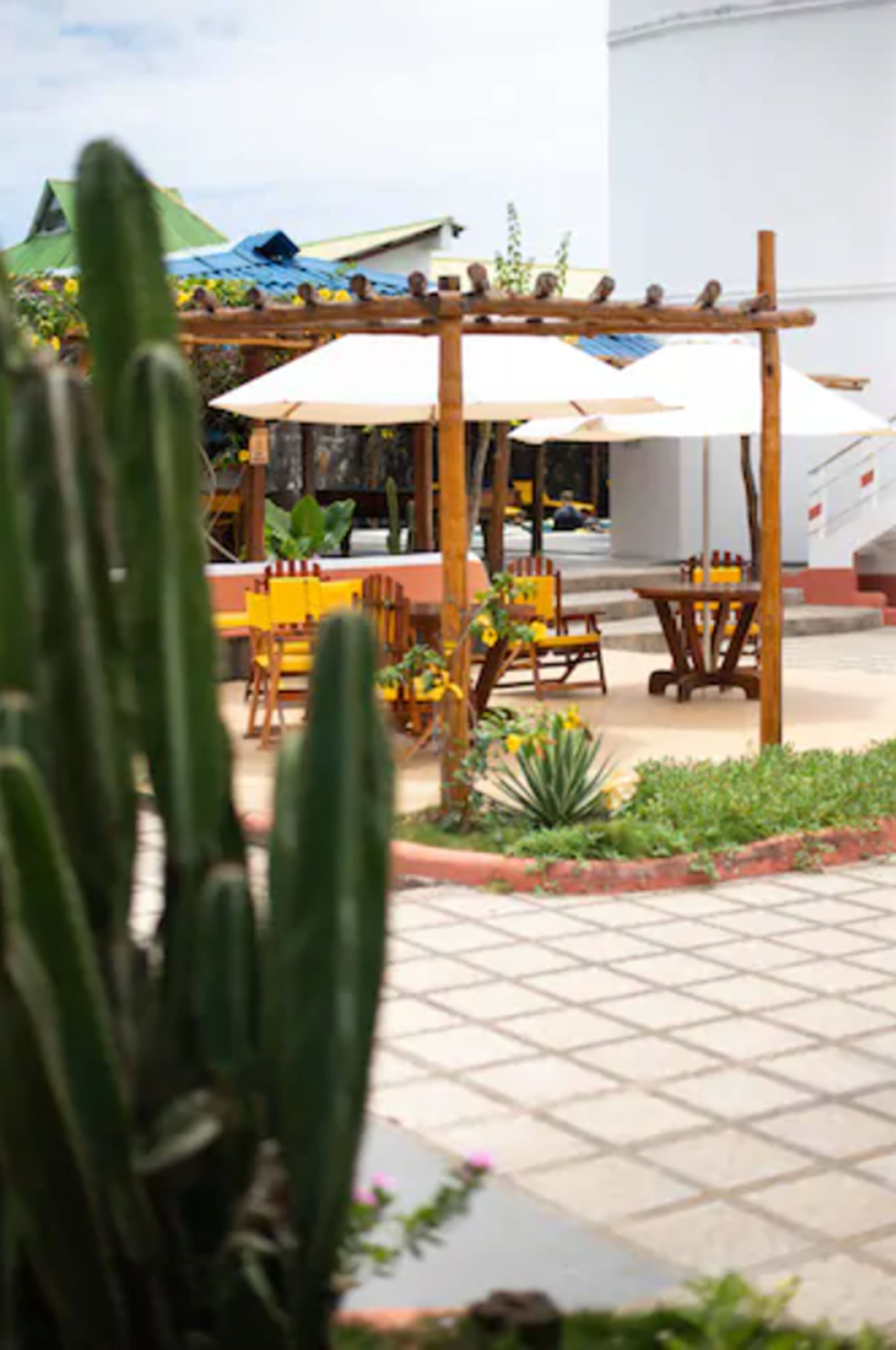 Een buitenterras met houten stoelen en tafels, een houten pergola en een cactus op de voorgrond.