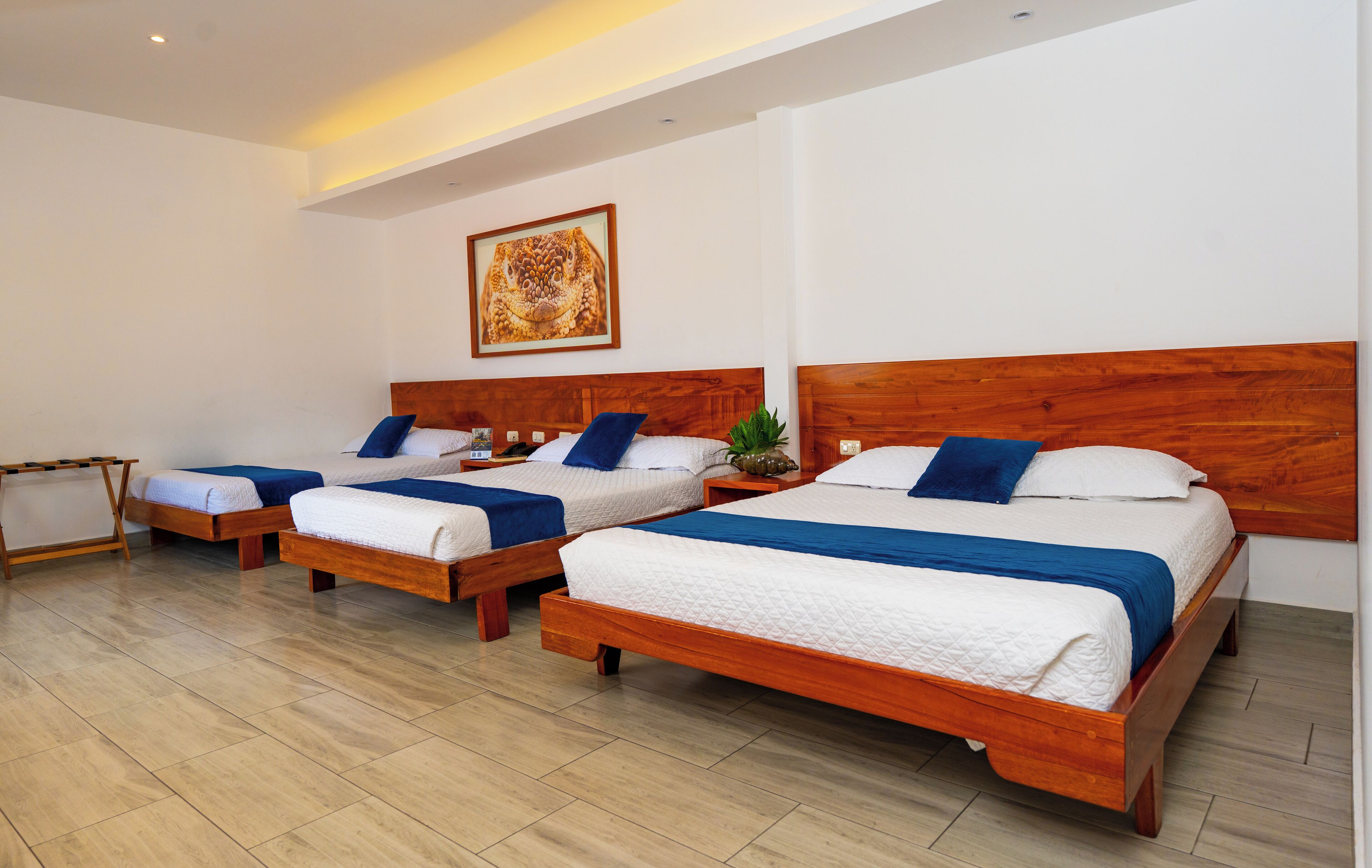 家庭房 | 高档床上用品、迷你吧、特色家居、床单