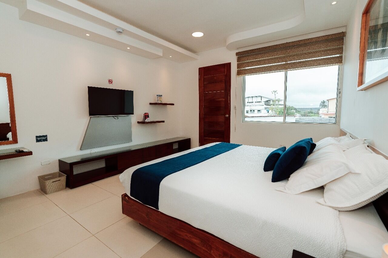 Un dormitorio con una cama, televisión, ventana y puerta.