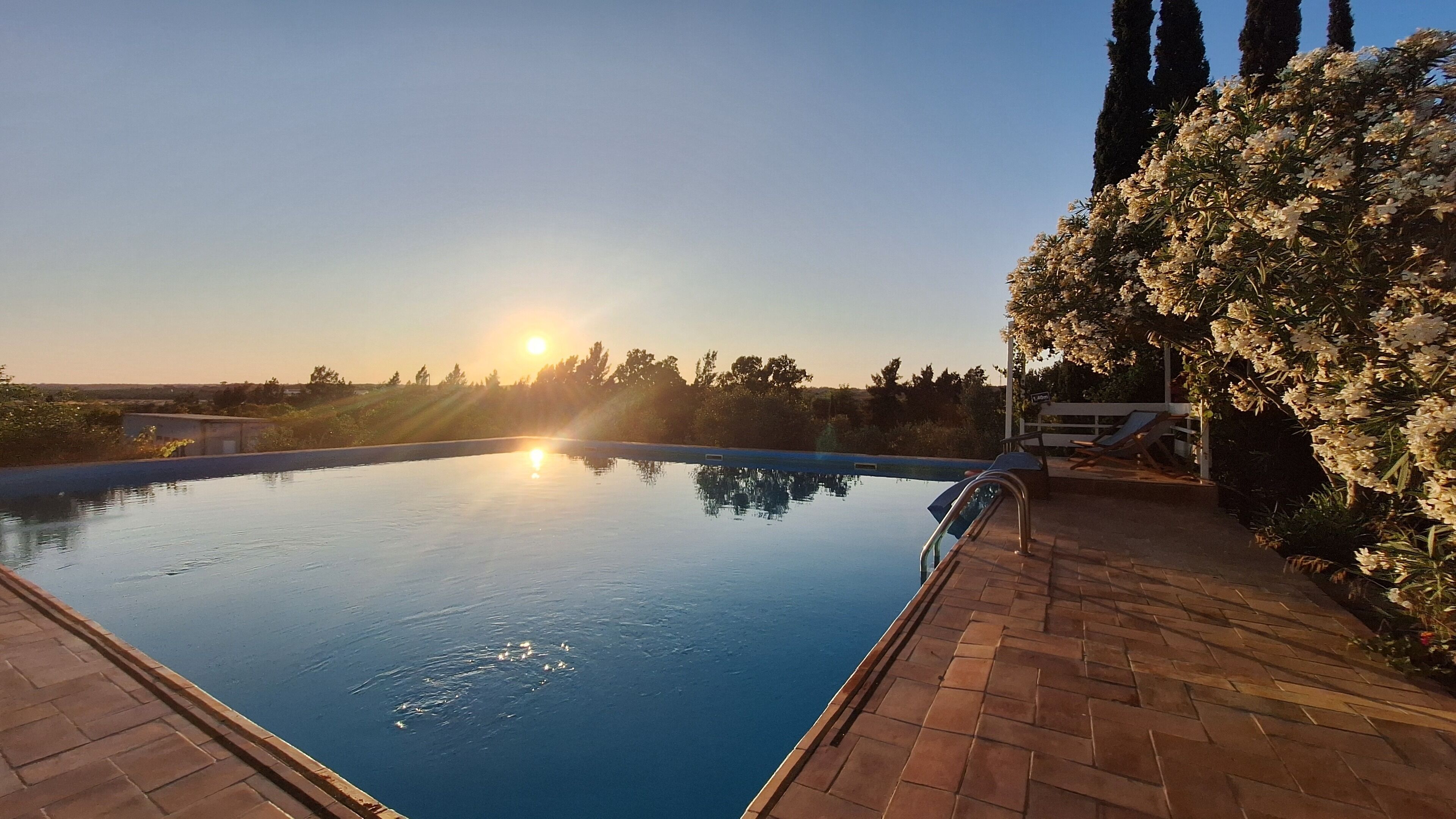Una piscina con vista despejada al atardecer, rodeada por un patio de ladrillo y abundante vegetación.